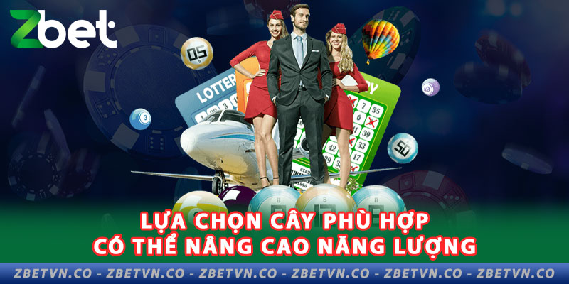 Cao Thủ Tiết Lộ 5 Cách Giải Đen Lô Đề Hiệu Quả Nhất 2024 lua-chon-cay-phu-hop-co-the-nang-cao-nang-luong